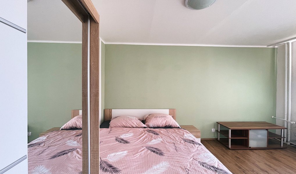 Pronájem bytu 1+1 40 m², Písek – náhled fotky 6