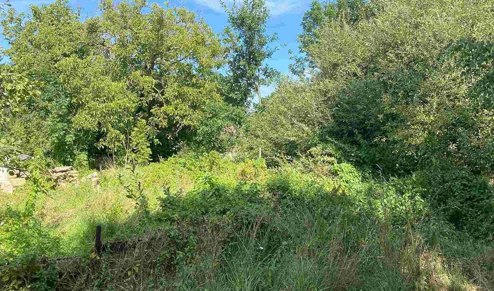 Prodej stavebního pozemku 2 842 m², Horní Stropnice – náhled fotky 5