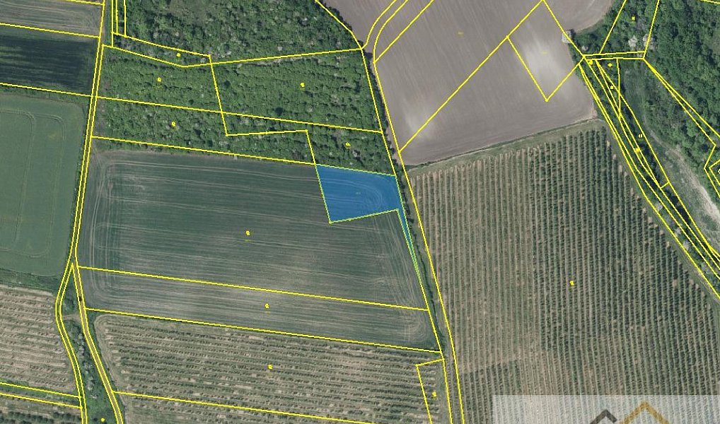 Prodej pole 5 989 m², Třebívlice – náhled fotky 3
