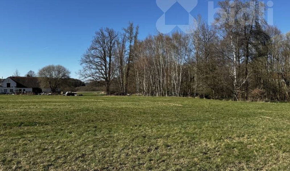 Prodej stavebního pozemku 3 293 m², Horní Stropnice – náhled fotky 2