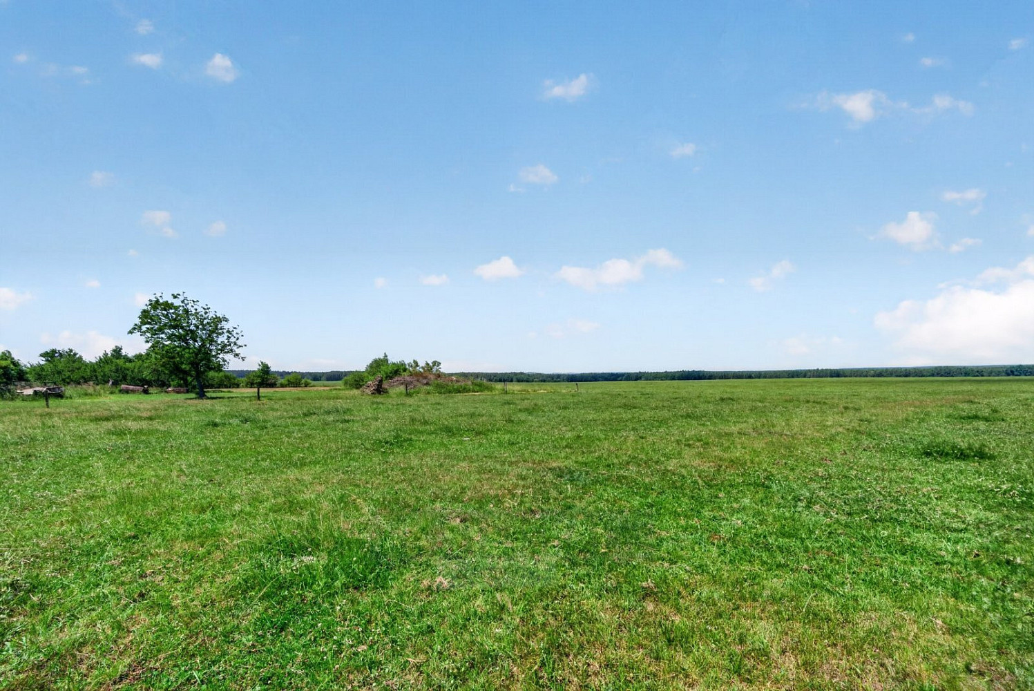 Prodej stavebního pozemku 1 168 m² – fotografie 3