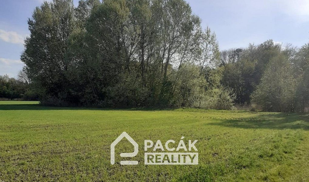 Prodej pole 15 995 m², Kožušany-Tážaly – náhled fotky 6