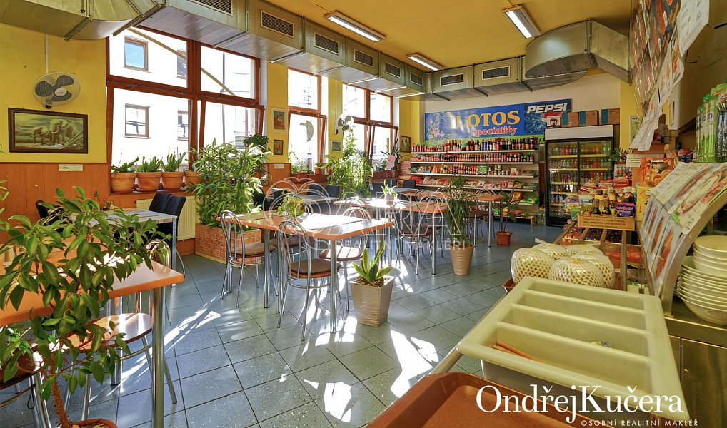 Prodej domu 1 000 m² s pozemkem 1 000 m², Kladno – náhled fotky 11