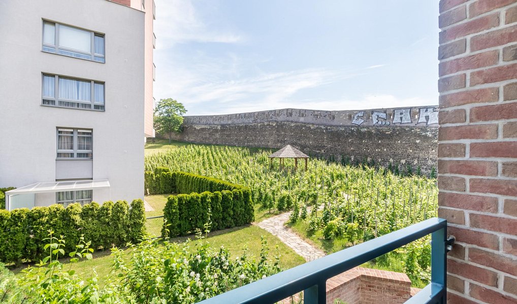 Pronájem bytu 2+kk 45 m², Praha – náhled fotky 13