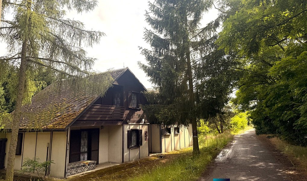 Prodej chaty/chalupy 180 m² s pozemkem 1 143 m², Račice – náhled fotky 4