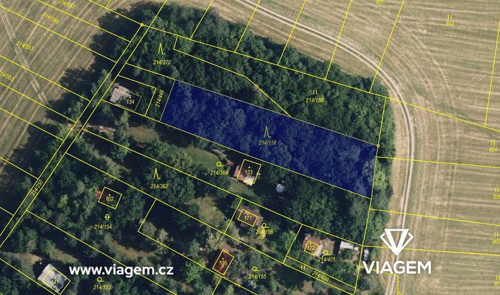 Prodej lesa 1 629 m², Prostějovičky – náhled fotky 3