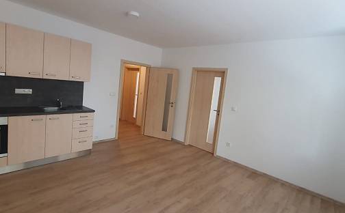 Pronájem bytu 2+1 55 m², Masarykova, Milevsko, okres Písek