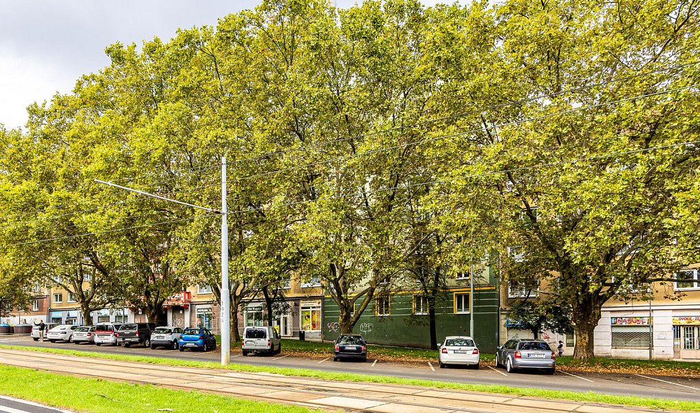 Prodej bytu 1+1 38 m², Most – náhled fotky 10