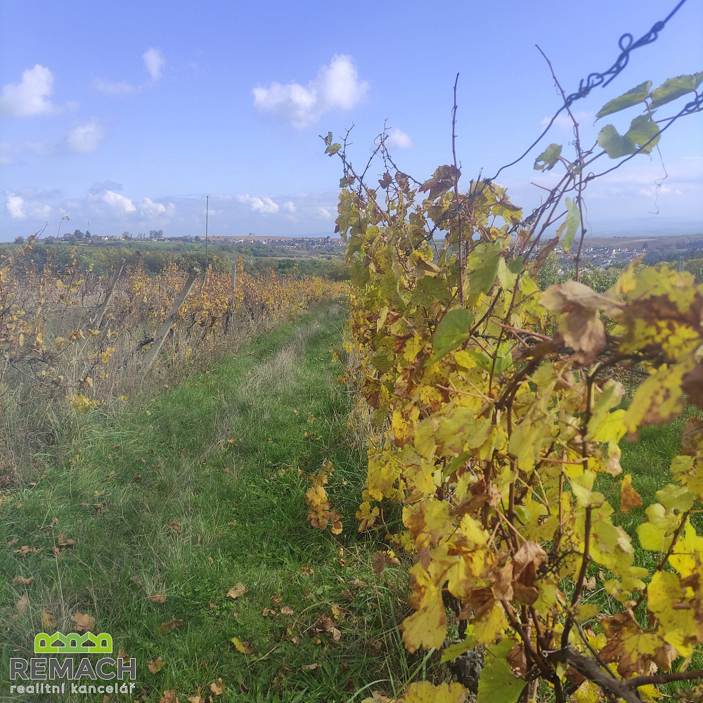 Prodej pole 4 846 m² – pohled 2