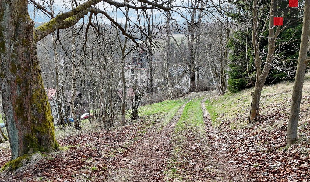 Prodej stavebního pozemku 1 486 m², Pěnčín – náhled fotky 8