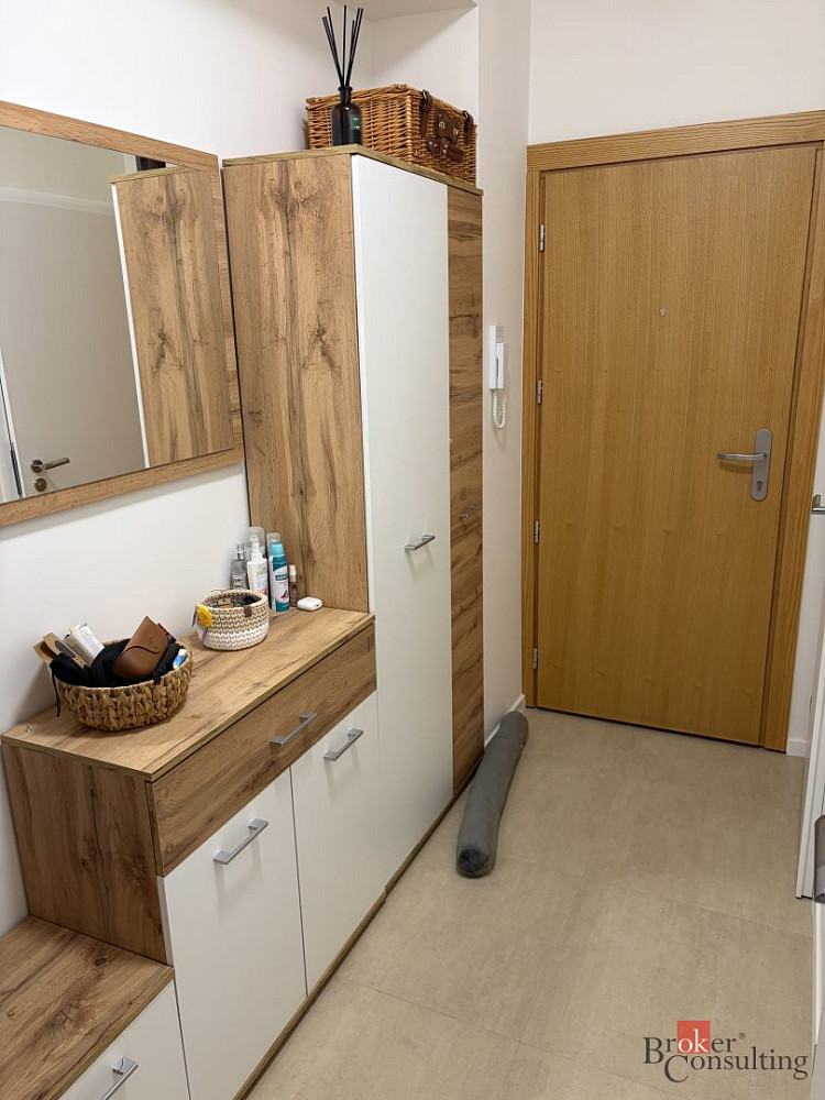 Pronájem bytu 2+kk 53 m² - Widok 5
