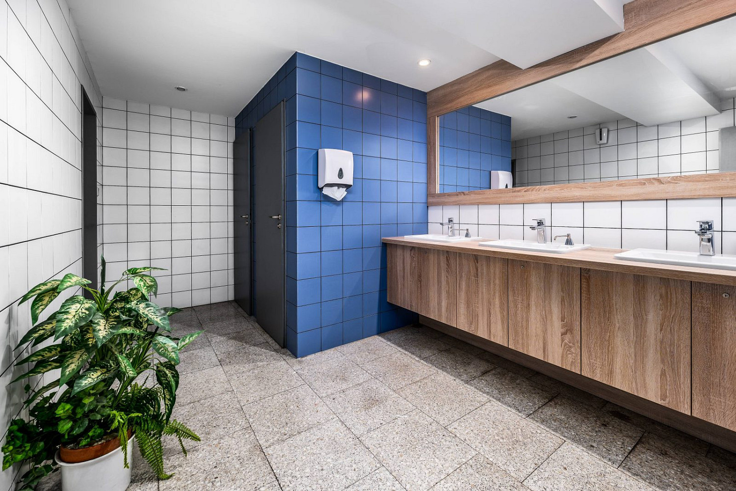 Pronájem kanceláře 526 m² – fotografie 5