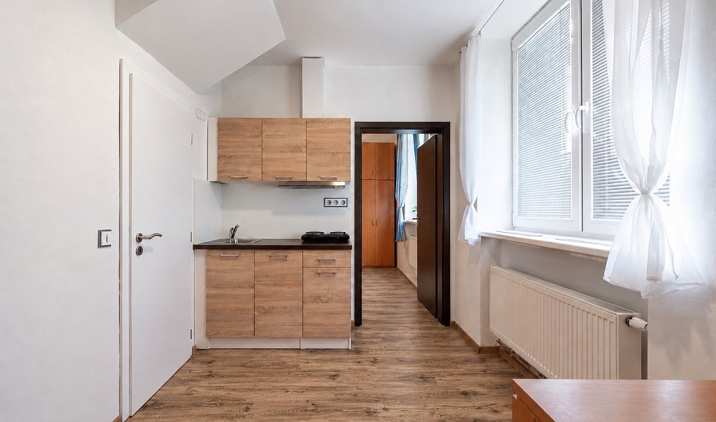Pronájem bytu 1+1 25 m², Brno – náhled fotky 3