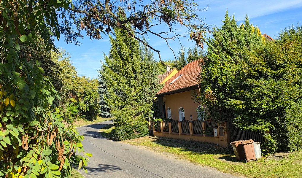 Prodej domu 250 m² s pozemkem 503 m², Vysoká – náhled fotky 40
