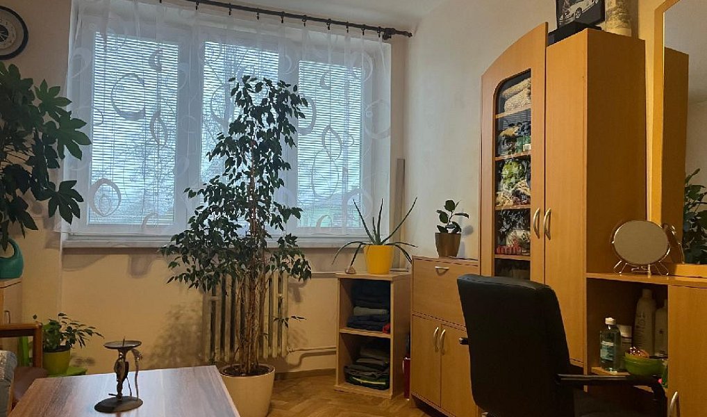 Prodej bytu 3+1 72 m², Kamenice – náhled fotky 11