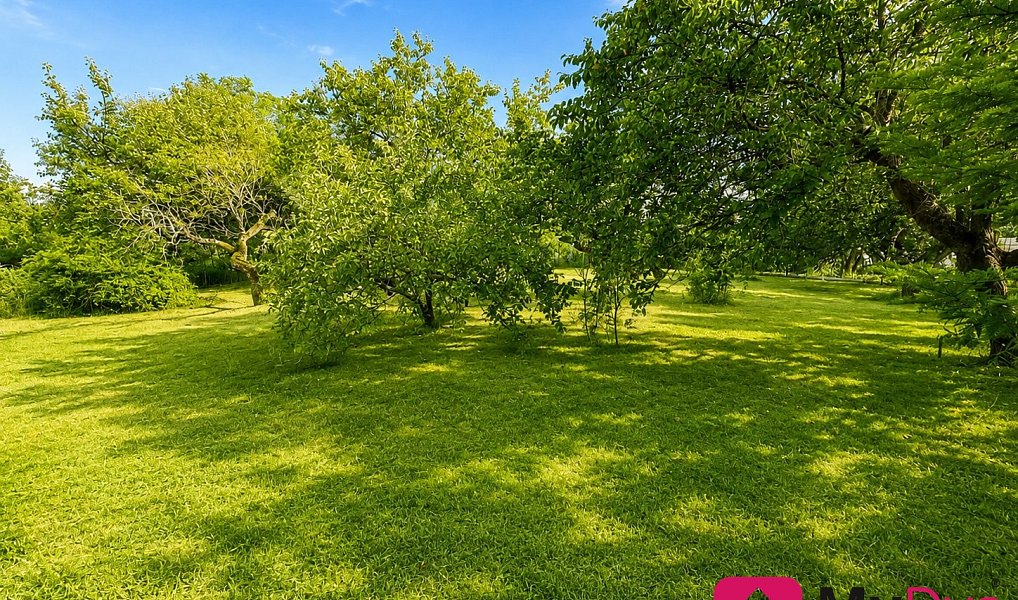 Prodej stavebního pozemku 1 465 m², Znojmo – náhled fotky 3