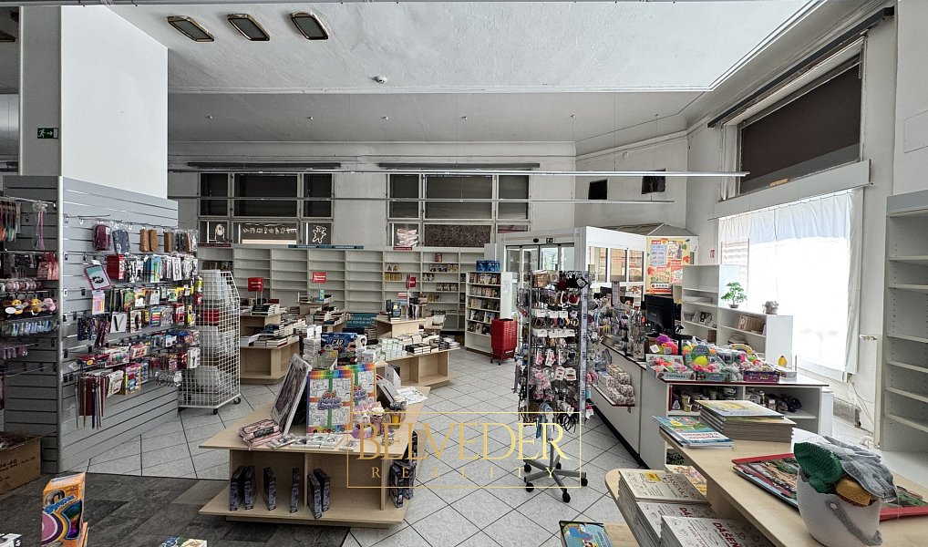 Pronájem obchodních prostor 441 m², Teplice – náhled fotky 8