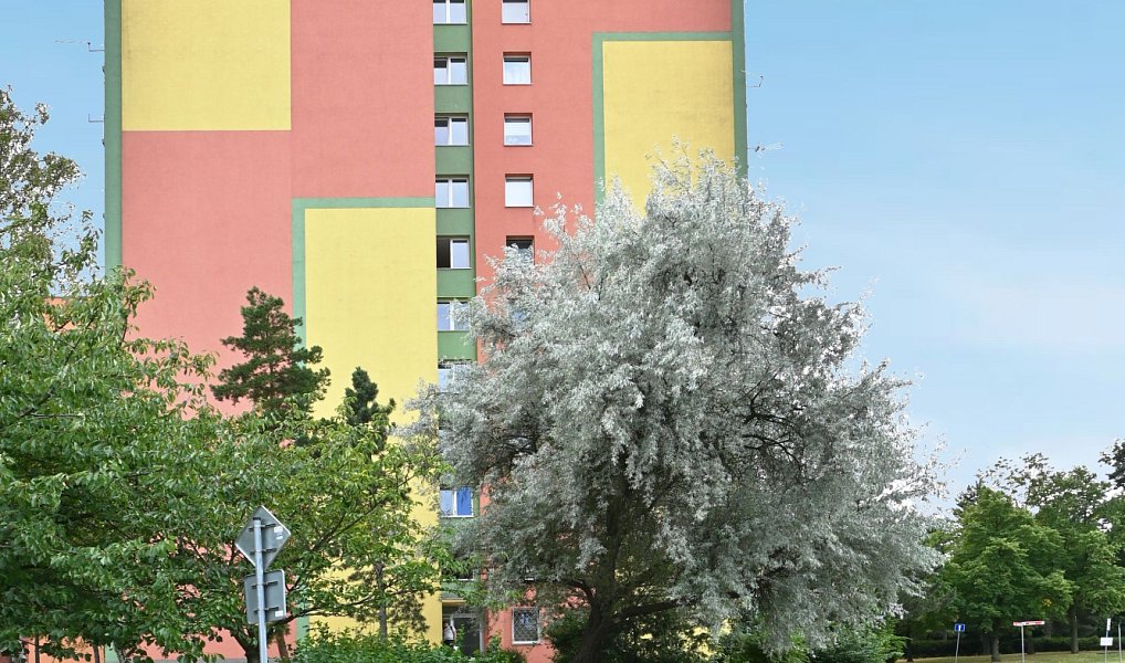 Pronájem bytu 2+kk 49 m², Bílina – náhled fotky 19