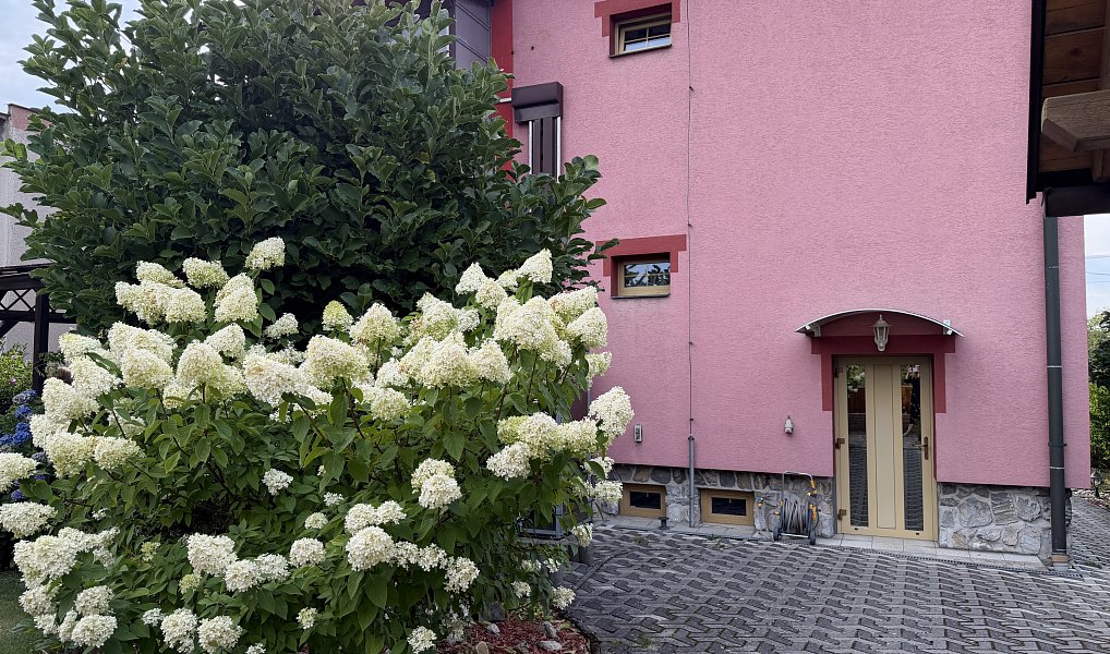 Prodej domu 250 m² s pozemkem 1 245 m², Spálov – náhled fotky 22