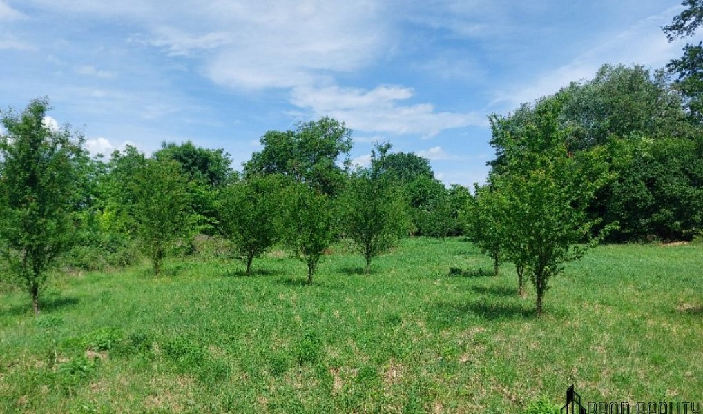 Prodej zahrady 4 845 m², Rajhrad – náhled fotky 4