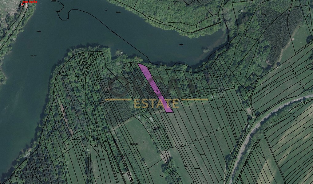 Prodej lesa 3 127 m², Pitín – náhled fotky 2