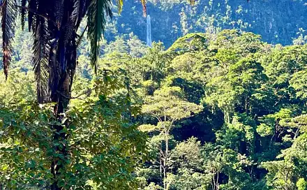 Prodej domu 4 080 m² s pozemkem 6 030 m², La Ceiba, Honduras