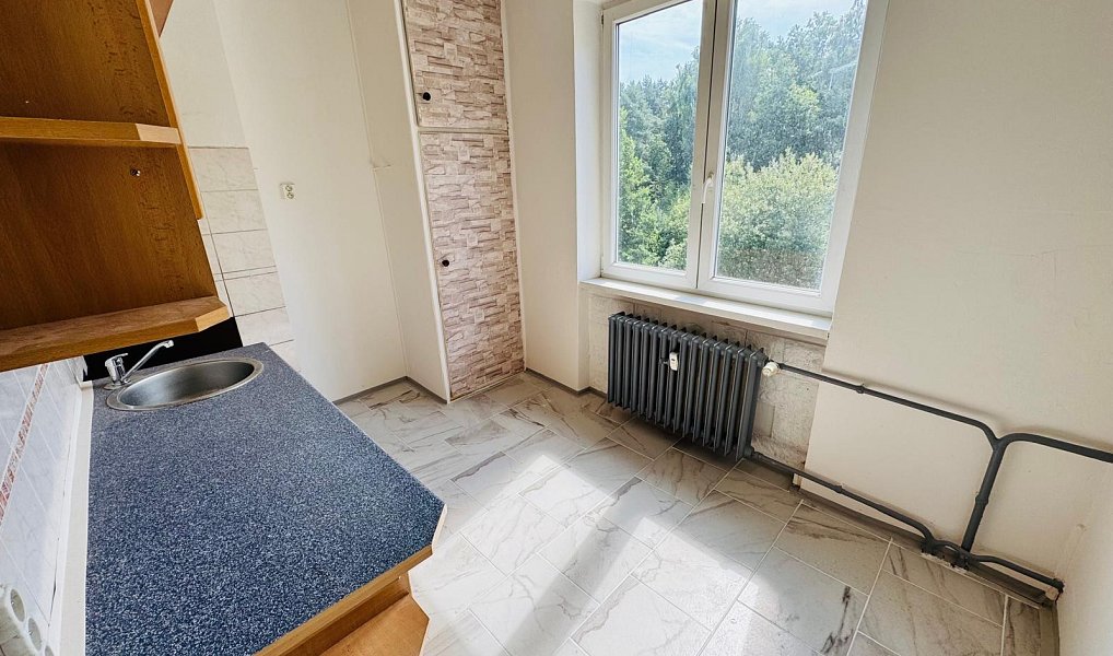 Pronájem bytu 1+1 33 m², Bukovany – náhled fotky 3