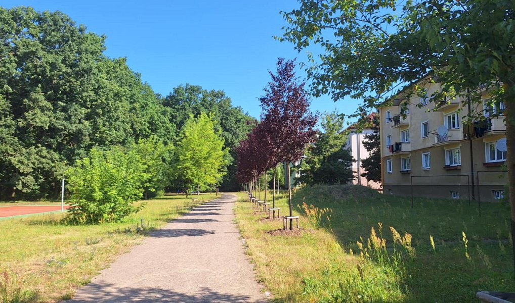 Prodej bytu 2+1 69 m², Pardubice – náhled fotky 13