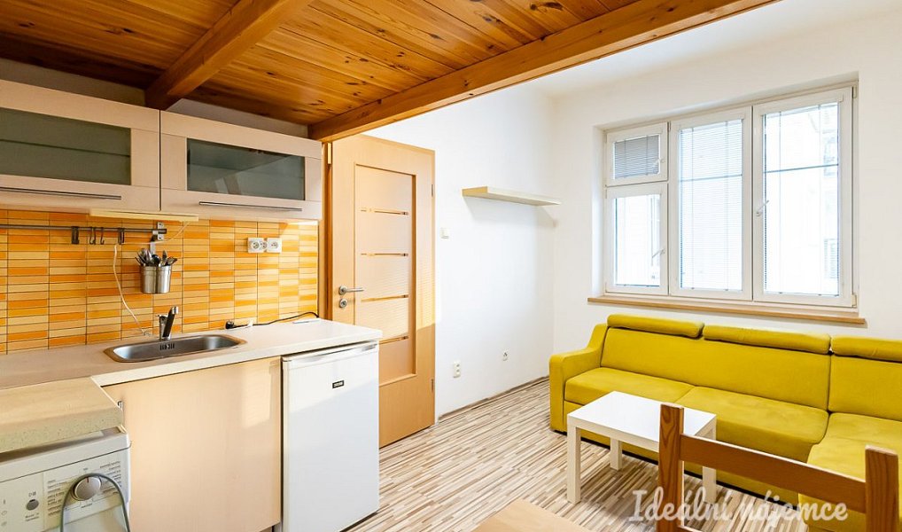 Pronájem bytu 1+kk 20 m², Praha – náhled fotky 5