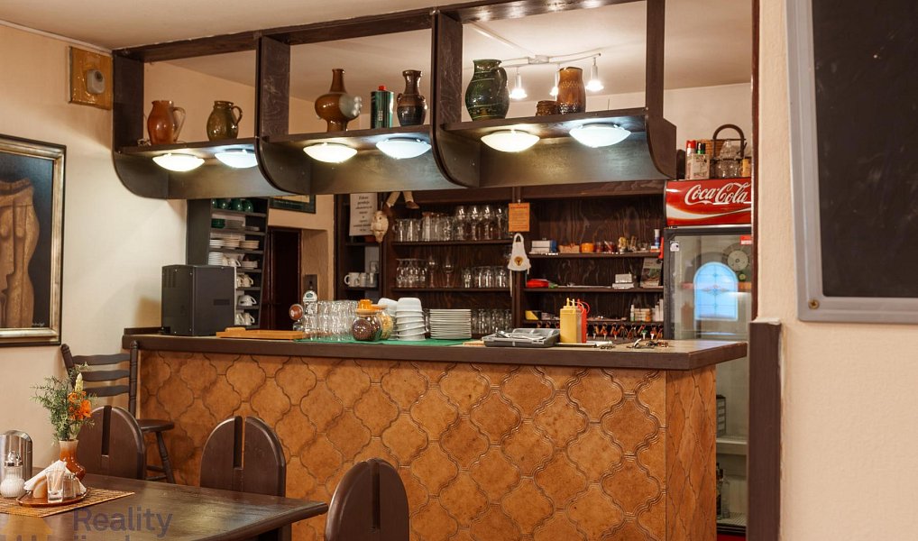 Prodej restaurace 300 m², Dolní Dunajovice – náhled fotky 6