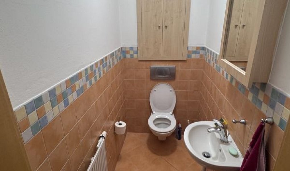 Prodej domu 334 m² s pozemkem 893 m², Mariánské Lázně – náhled fotky 11