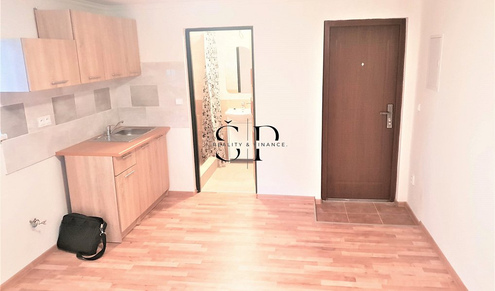 Pronájem bytu 1+kk, 40 m², Plzeň-sever, Dražeň