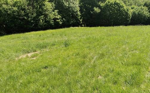 Prodej stavebního pozemku 1 876 m², Dlouhá Ves, okres Klatovy