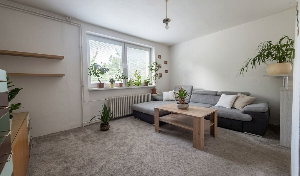 Prodej domu 260 m² s pozemkem 572 m², Kobeřice – náhled fotky 2