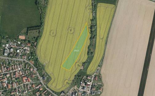 Prodej pole 10 023 m², Heřmanův Městec - Chotěnice, okres Chrudim