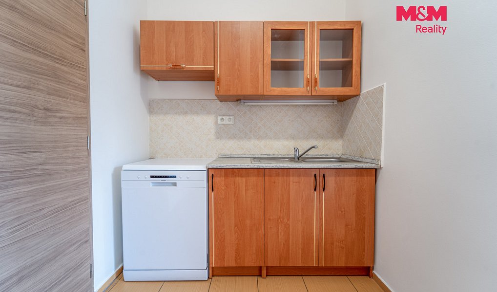 Pronájem bytu 1+1 65 m², Plzeň – náhled fotky 5
