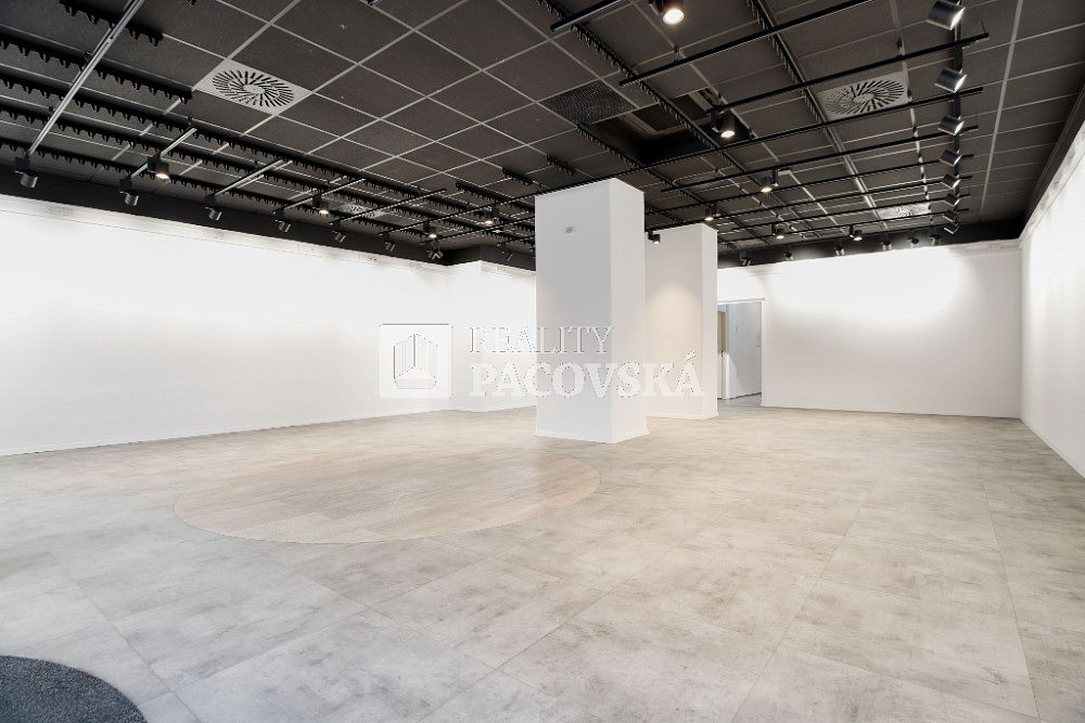 Pronájem obchodních prostor 210 m² – fotografie 5
