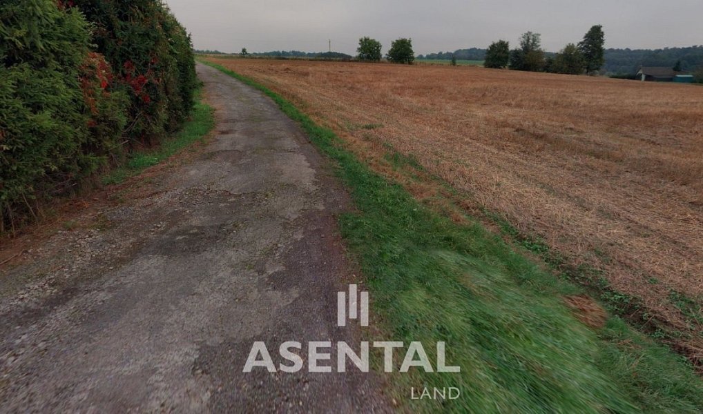 Prodej pozemku 12 432 m², Rychvald – náhled fotky 5