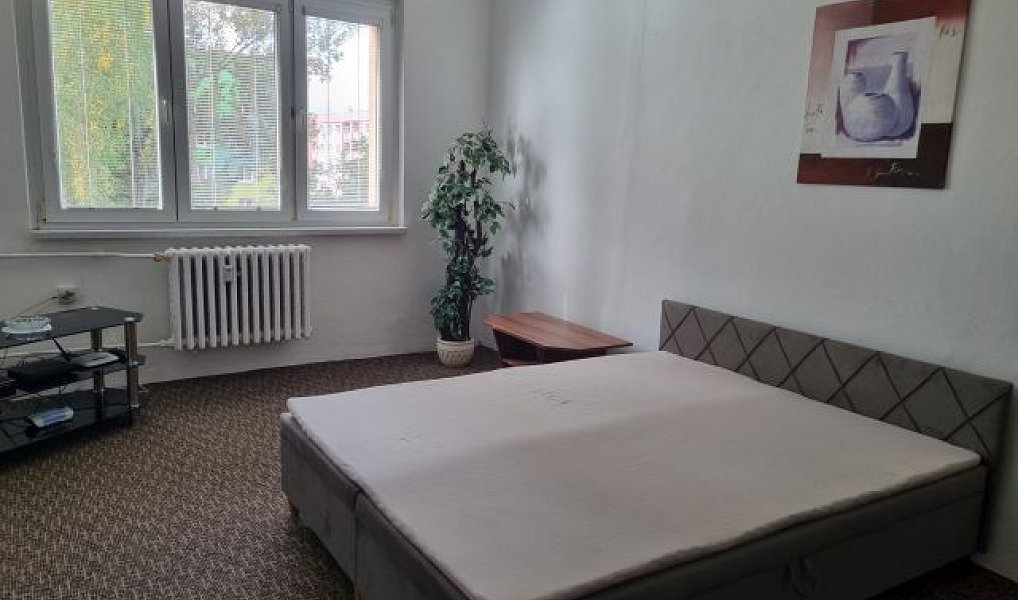 Pronájem bytu 2+1 53 m², Ostrava – náhled fotky 8