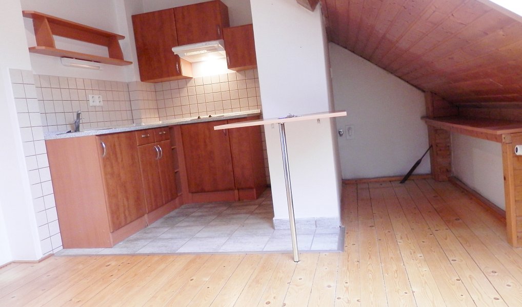 Pronájem bytu 1+1 38 m², Praha – náhled fotky 2