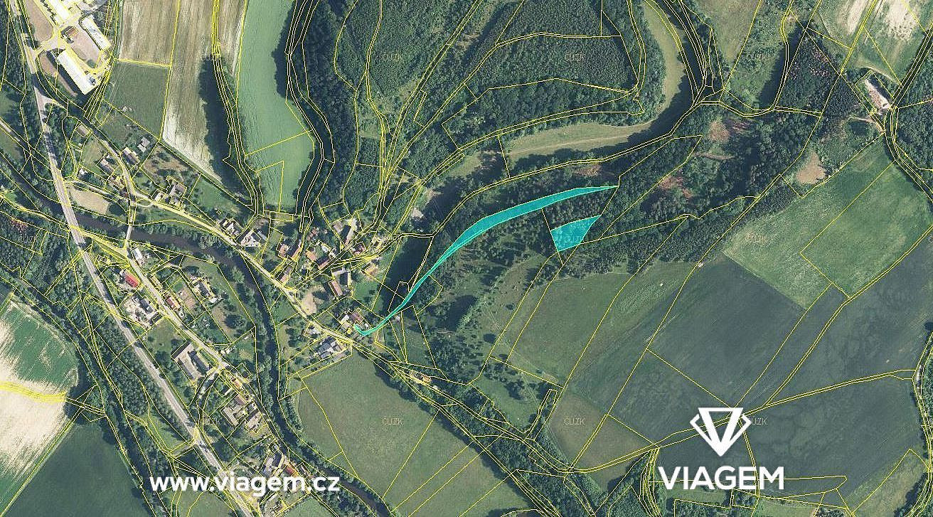 Prodej lesa 2 140 m² – fotografie 2