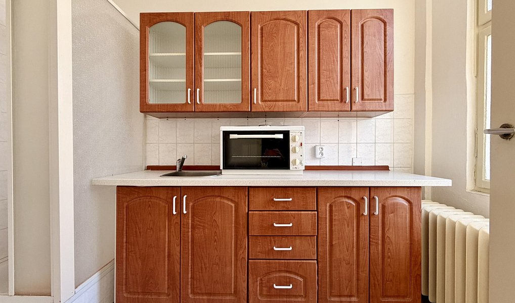 Pronájem bytu 1+1 34 m², Plzeň – náhled fotky 7