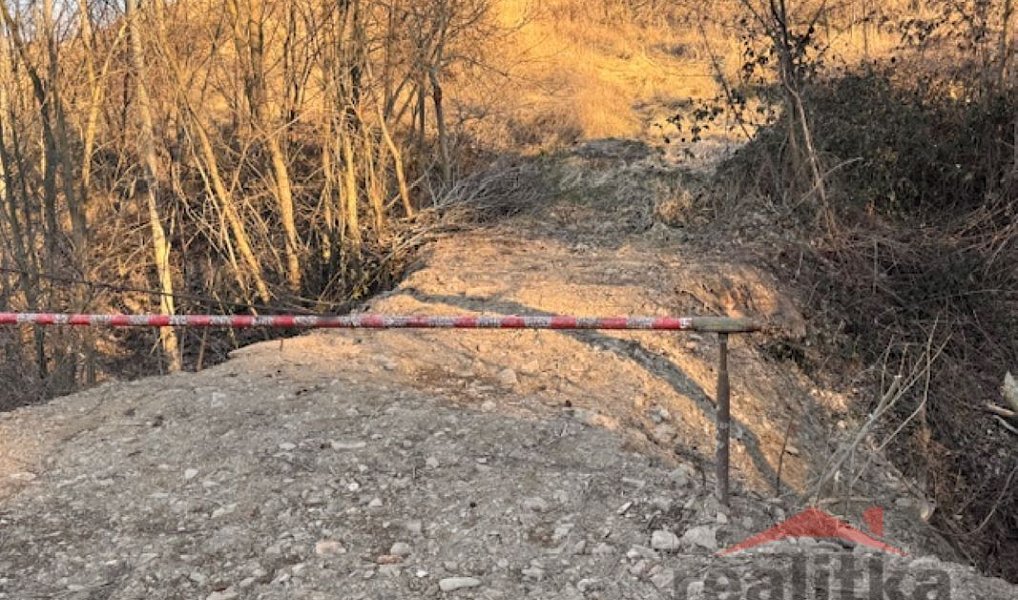 Prodej louky 7 788 m², Vršovice – náhled fotky 3