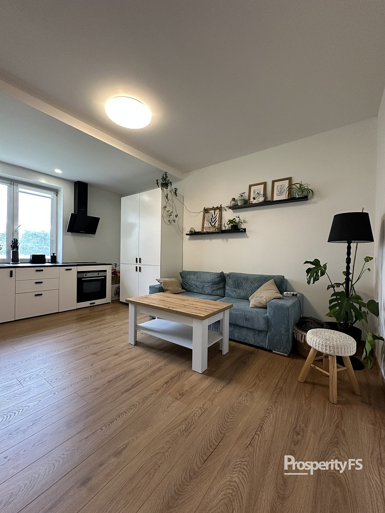 Pronájem bytu 3+kk 53 m²
