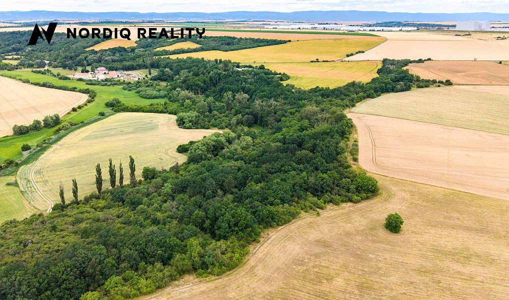 Prodej pole 2 841 m², Staňkovice – náhled fotky 12