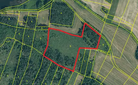 Prodej lesa 19 057 m², Malý Bor, okres Klatovy