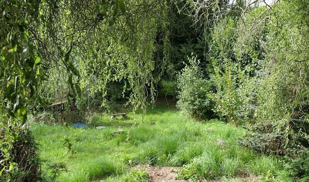 Prodej chaty/chalupy 20 m² s pozemkem 364 m², Hronov – náhled fotky 9