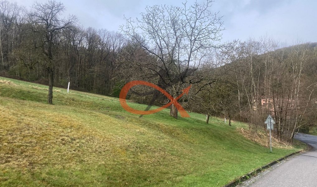 Prodej stavebního pozemku 9 208 m², Háj ve Slezsku – náhled fotky 5