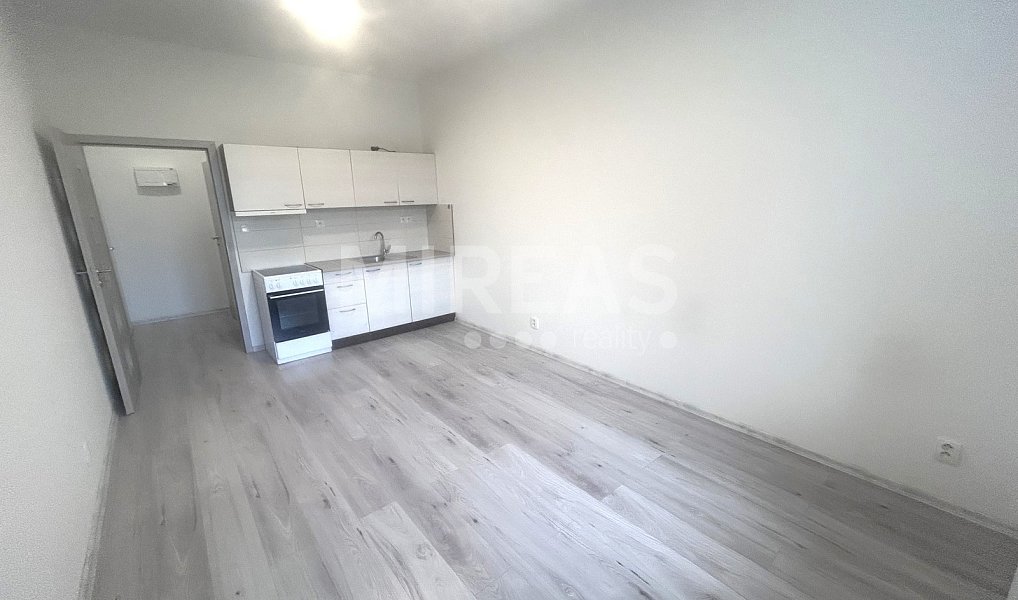Pronájem bytu 1+kk 25 m², Milovice – náhled fotky 3
