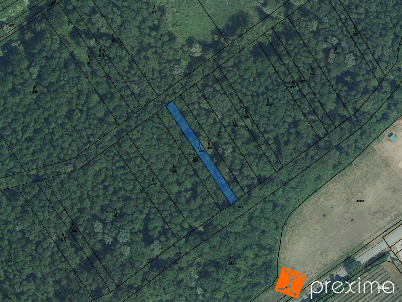 Prodej lesa 155 m²